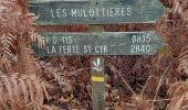 Trail Walking Ligny-le-Ribault - ligny Villeny - Photo 1