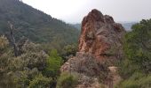 Tocht Stappen Saint-Raphaël - L' ESTEREL - DU COL DE L'EVEQUE AU PIC DU CAP ROUX ET GROTTE SAINT HONORAT - Photo 5