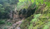 Trail Walking Mouthier-Haute-Pierre - Gorges de Nouailles - Source de la Loue - Photo 4