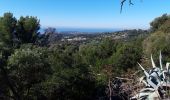 Excursión Senderismo Ollioules - Château  Vallon  - Photo 4