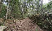 Trail Walking Cabasse - Autour de Cabasse - Photo 1