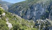 Tour Wandern La Palud-sur-Verdon - La palud sur Verdon - Photo 20