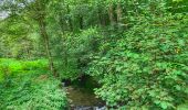 Tour Wandern Bouillon - 2024-09-15_08h33m03_Les Hayons Bouillon - Photo 17