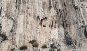 Excursión Senderismo Agerola - Le sentier des dieux - Photo 4