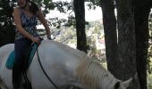 Trail Horseback riding Métairies-Saint-Quirin - point de vue abreschviller  - Photo 15