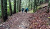 Trail Walking Saint-Nizier-du-Moucherotte - Le bois de la Plagne- St Nizier du Moucherotte - Photo 6