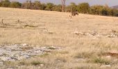 Percorso 4x4 Unknown - Parc Etosha Namibia  - Photo 7