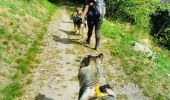 Trail Walking Bussang - Trek alsacien (boucle rochelotte) - Photo 7