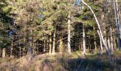 Trail Walking Eupen - nahtsief court - Photo 9