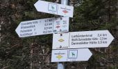 Tour Zu Fuß Seebach - Genießerpfad - Mummelsee-Hornisgrindepfad - Photo 4