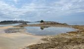 Percorso Marcia Saint-Briac-sur-Mer - Rando a St lunaire - Photo 2