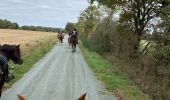 Tocht Paardrijden Aubigny-Les Clouzeaux - Boucle Ste Flaive  - Photo 3