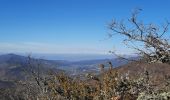 Trail Walking Vesc - Vesc Montagne du Ruy 18km - Photo 7