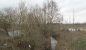 Tour Zu Fuß Werne - Langern Rundweg A6 - Photo 4