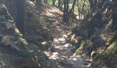 Trail Walking Cambon-et-Salvergues - Autour d'Olargues 3 - Photo 5