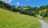 Tocht Stappen La Plagne-Tarentaise - La Plagne Village Aime Plagne Prajourdan Plagne Centre Plagne  - Photo 5