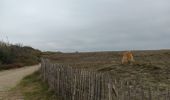Percorso Marcia Argelès-sur-Mer - mas larrieu dans la tourmente automnale   - Photo 1