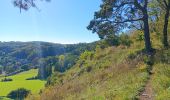 Tour Wandern Comblain-au-Pont - Comblain-au-Pont d´une rive à l´autre - Photo 15