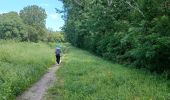 Trail Walking Sauveterre - 2024-05-04 l'Oiselet - Photo 13