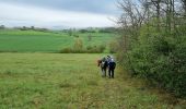 Tour Wandern Vianne - ARAV  Vianne - Photo 1