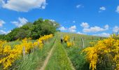 Tour Wandern Goesdorf - Goebelsmühle  - Photo 8