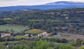 Tour Wandern Venasque - Combes et forêt de Vénasque  - Photo 10