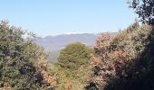 Excursión Senderismo Les Mées - DABICE Chapelle S Honorat , Jas des Aires , Jas des Dourbes  , Chateau au Levin , la Baume , o n - Photo 8