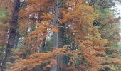 Trail Walking Court-Saint-Étienne - jolie promenade d'automne - Photo 2