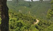 Trail Walking Cavalaire-sur-Mer - CAVALAIRE  - Photo 2