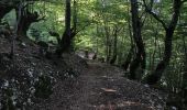 Trail Walking Pescasseroli - Col monte Tranquillo 17 km - Photo 7