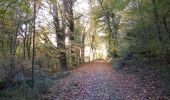 Trail Walking Orival - 20221117-Les Essarts  - Photo 3