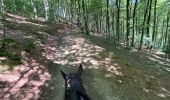 Trail Horseback riding Auritz - 2023 R2 J1 - Photo 17