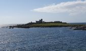 Randonnée Marche Trégunc - Saint Philibert-Trévignon plage - Photo 6