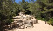 Trail Walking Saint-Cyr-sur-Mer - Dune de sable  - Photo 13