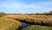 Tocht Te voet Nahe - Von Nahe zum Nienwohlder Moor - Photo 10