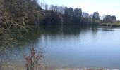 Tocht Te voet Waimes - Tour du lac de Robertville et détour jusqu'au château de RheinhardStein - Photo 3