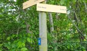 Randonnée Marche Saint-André-la-Côte - Le signal - Photo 11