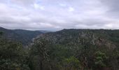 Excursión Senderismo Caunes-Minervois - Caunes Minervois - Photo 10