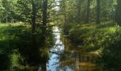 Tour Wandern Poigny-la-Forêt - Poigny la forêt - Photo 6