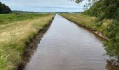 Trail Nordic walking Vendays-Montalivet - Marais de la Perge - Photo 17