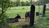 Tour Wandern Libin - Adeps 5 kms Redu le  25-08-2024 - Photo 12