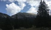 Tocht Stappen Saint-Agnan-en-Vercors - Grand Veymont par pré râteau  - Photo 1