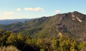 Trail Walking Garéoult - L'Amarron depuis Garéoult - Photo 8