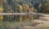 Tocht Te voet Oberaudorf - Wanderweg 9 - Oberaudorf - Photo 1