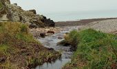 Excursión Senderismo Champeaux - les falaises de Carolles - Champeaux - Photo 4