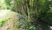 Excursión Senderismo Le Haillan - Parc du ruisseau - Photo 4