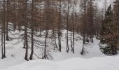 Tour Schneeschuhwandern Entraunes - cabanes de sanguinieres et roche trouée - Photo 1