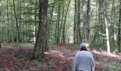 Excursión Senderismo Capavenir-Vosges - Forêt Domevre - Photo 1