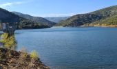 Randonnée Marche La Môle - La Mole - Barrage de la Verne  - Photo 13