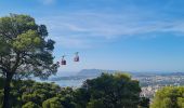 Tocht Stappen Toulon - faron Daniel Louis   sud et sommet - Photo 2